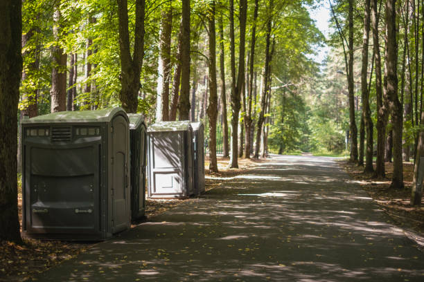 Best Affordable porta potty rental  in Mcnary, AZ